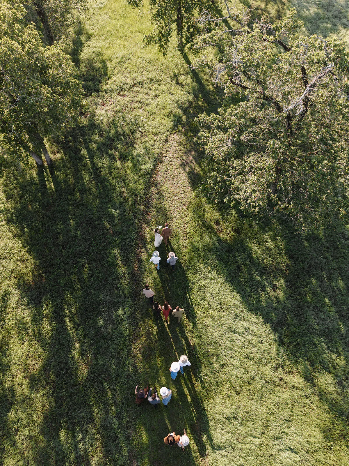 Aerial view of wedding guests walking the ceremony aisle at Serana