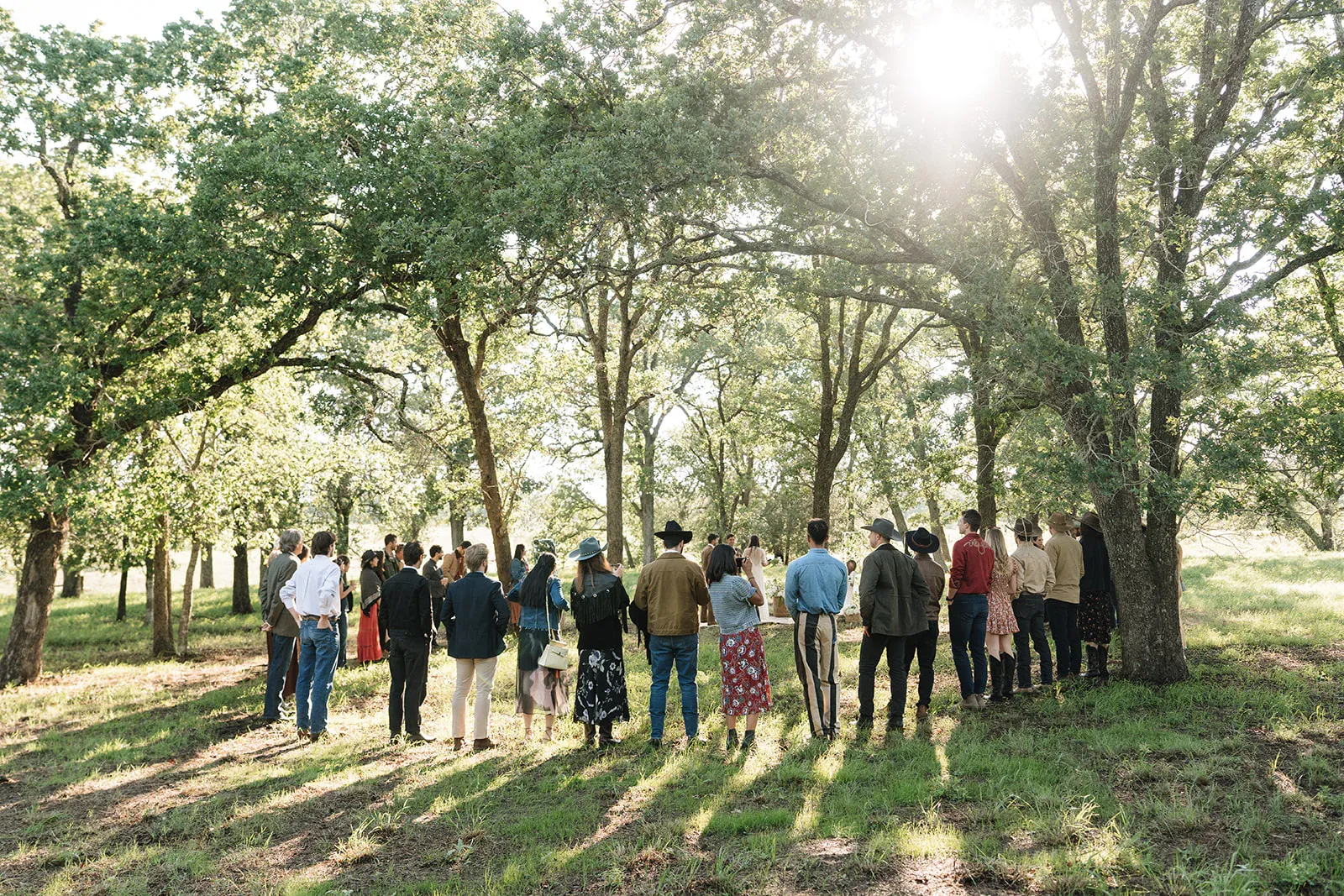 Guests walking through the oak grove for a Serana ceremony