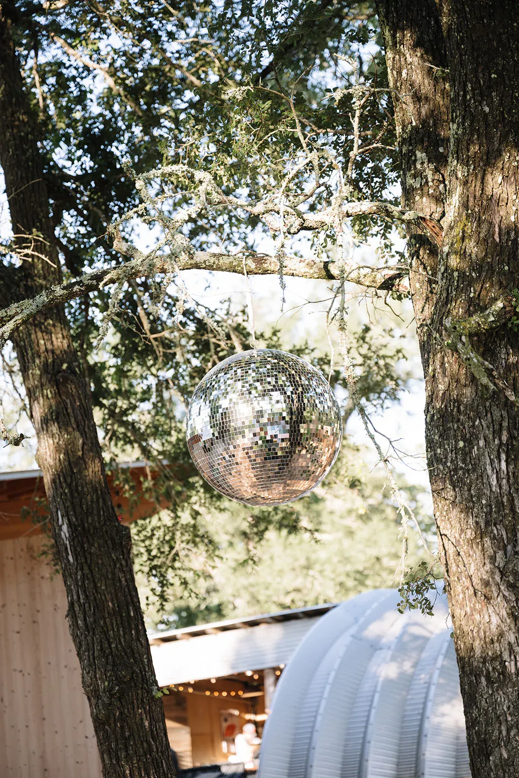 Disco ball hanging from an oak tree at Serana