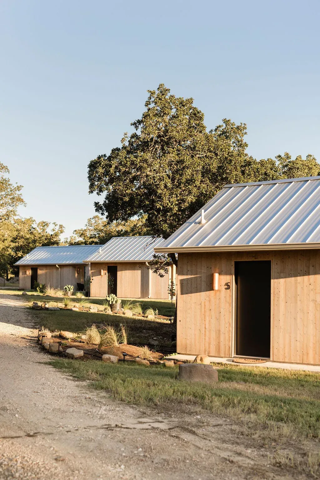 Serana cabins tucked under oak trees