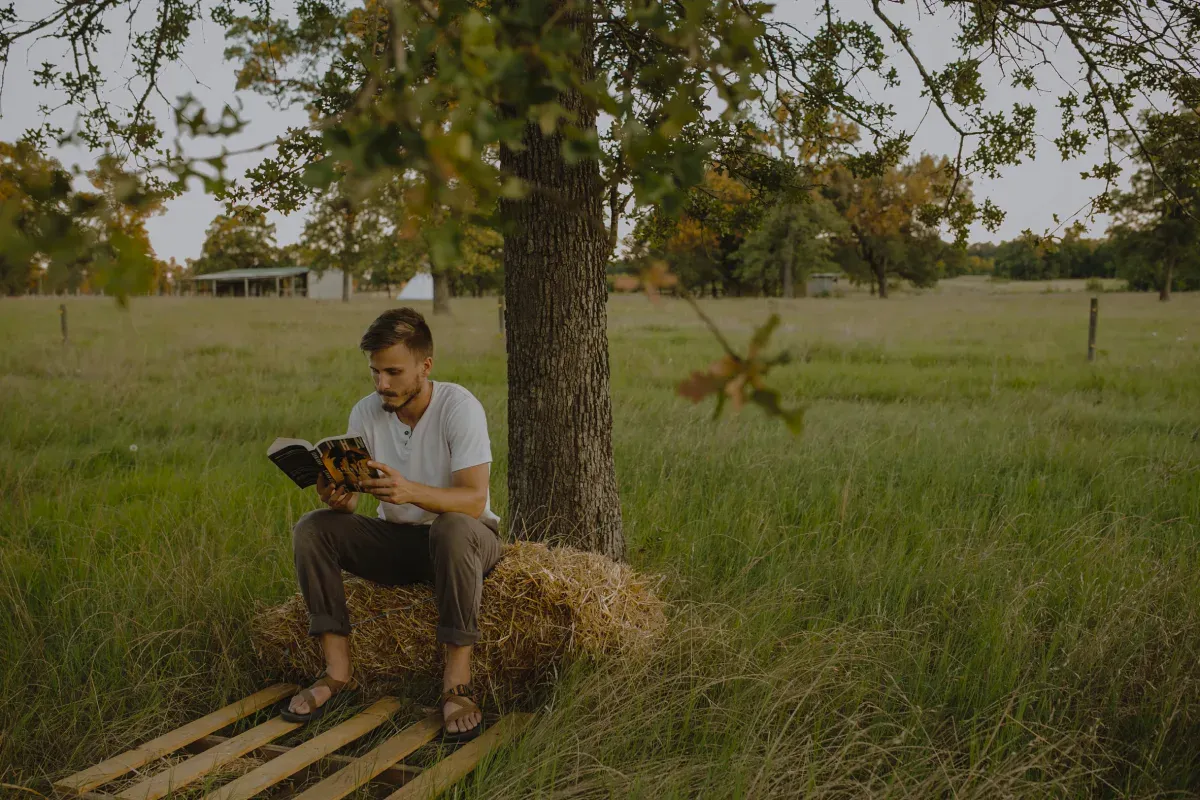 Quiet prairie reading bench on the Serana property