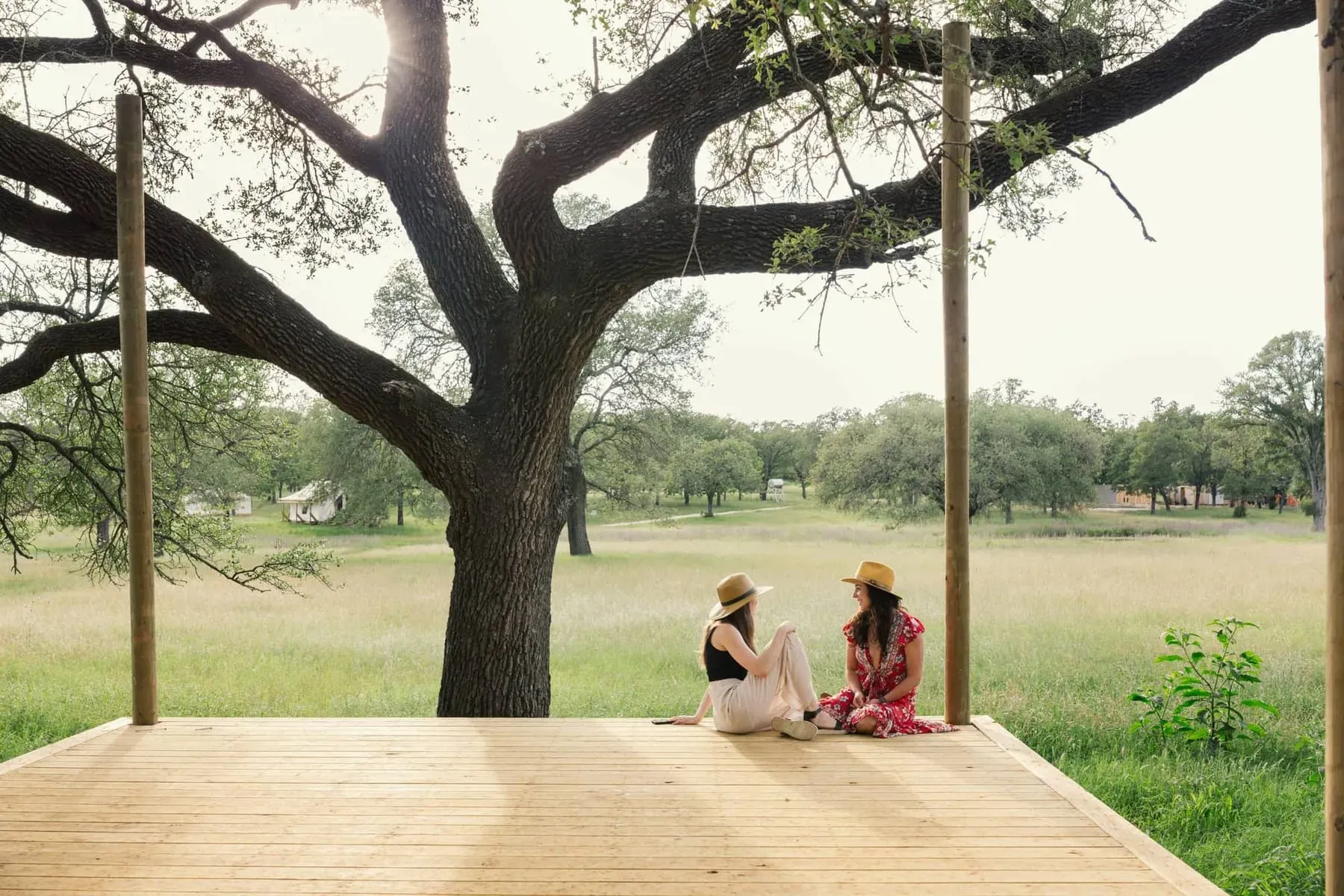 Outdoor yoga deck beneath oak trees at Serana